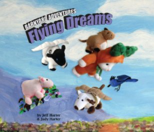 Flying Dreams book cover