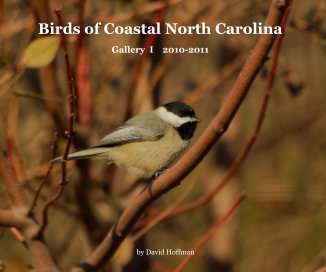 Birds of Coastal North Carolina book cover