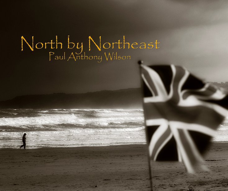 View North by Northeast by Paul Anthony Wilson