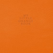 My Little Orange Book book cover