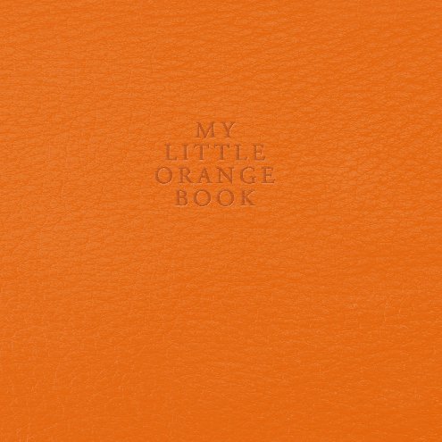 Ver My Little Orange Book por Big Leo