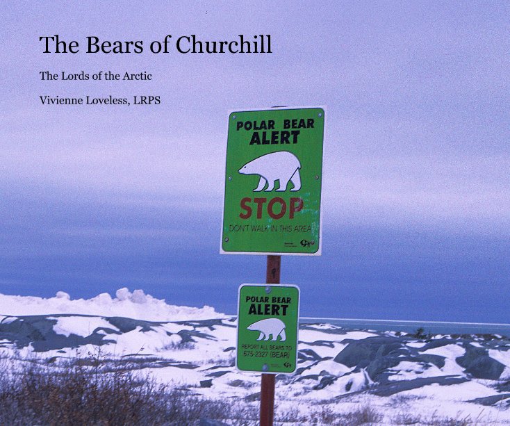 View The Bears of Churchill by Vivienne Loveless, LRPS