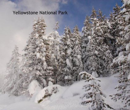 Yellowstone National Park book cover