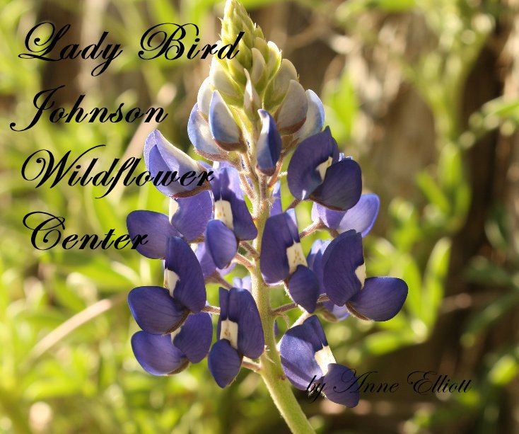 View Lady Bird Johnson Wildflower Center by Anne Elliott