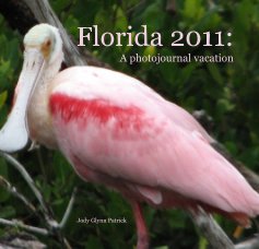 Florida 2011: A photojournal vacation book cover