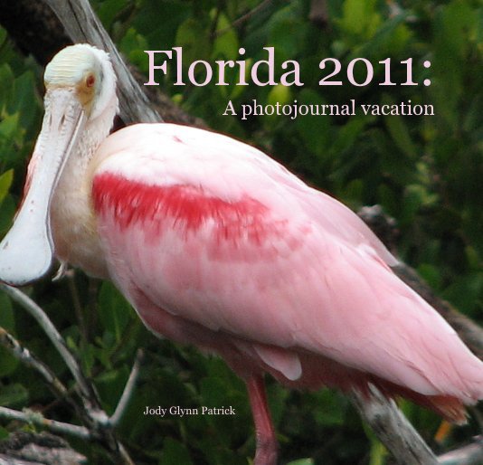 Ver Florida 2011: A photojournal vacation por Jody Glynn Patrick