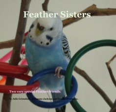 Feather Sisters book cover