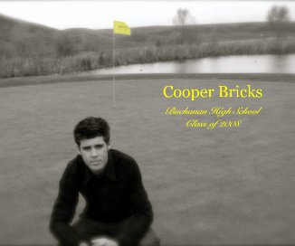 Cooper Bricks Buchanan High School Class of 2008 book cover