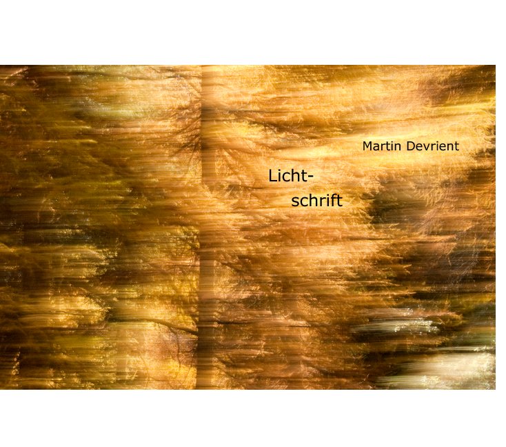 View Lichtschrift by Martin Devrient