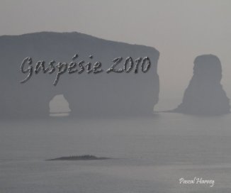 Gaspésie 2010 book cover