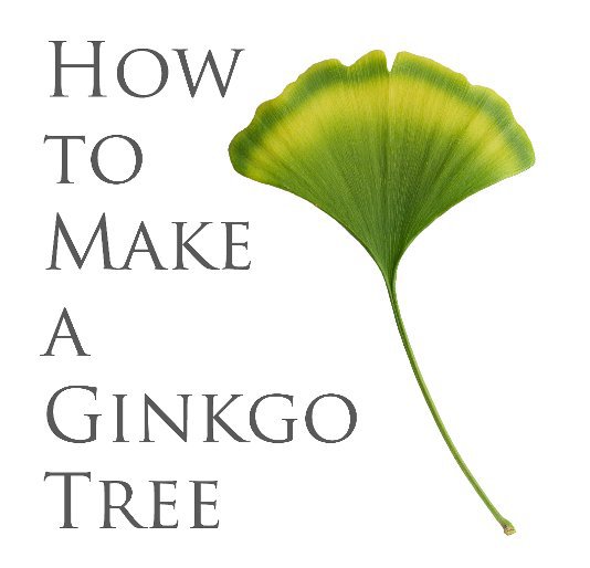 View How to Make a Ginkgo Tree by Yan Yan Mao