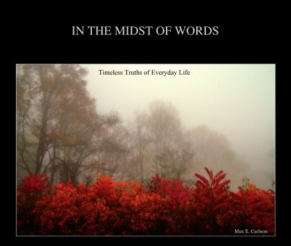 IN THE MIDST OF WORDS book cover