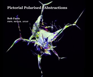 Pictorial Polarised Abstractions book cover