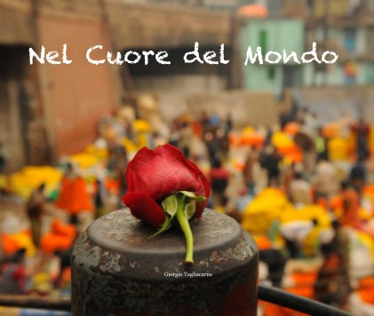 Nel Cuore del Mondo book cover