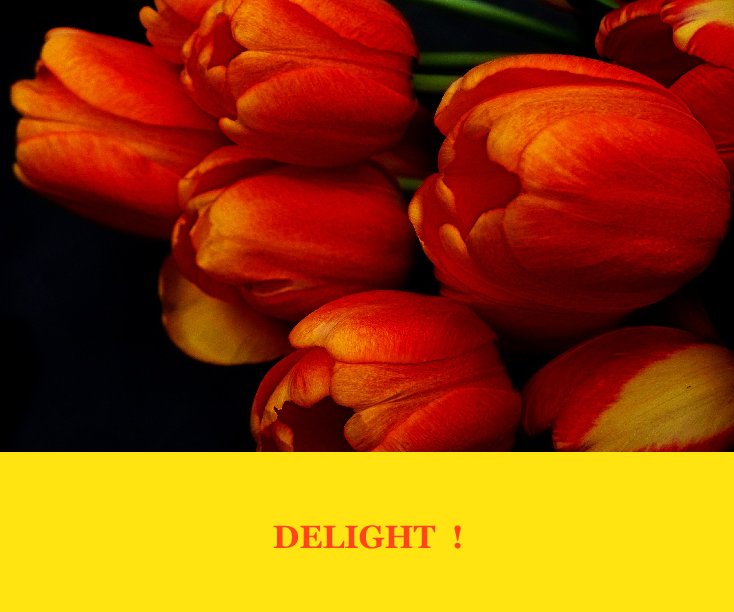 Ver DELIGHT por Elfriede Klee Fulda                          DELIGHT                                        Delight