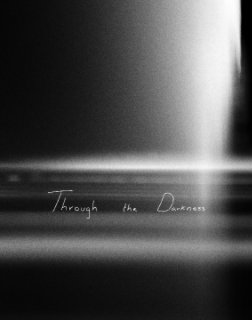 Through the Darkness book cover