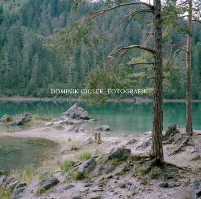DOMINIK GIGLER FOTOGRAFIE book cover