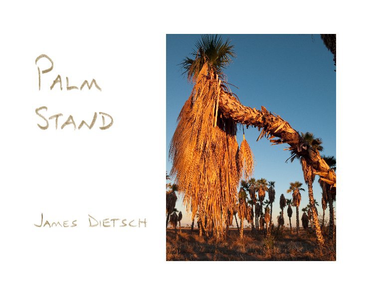 View Palm Stand by James Dietsch