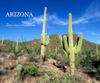 ARIZONA book cover