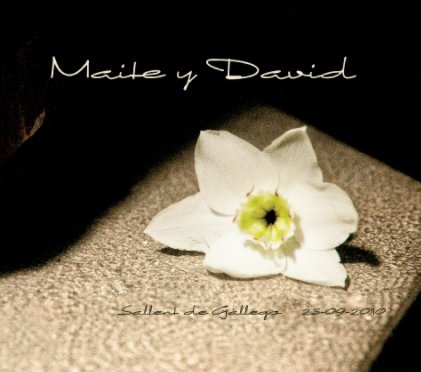 Maite y David 2 book cover