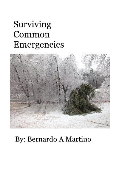 Visualizza Surviving Common Emergencies di : Bernardo A Martino