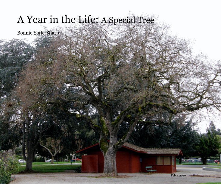 A Year in the Life: A Special Tree nach Bonnie Yoffe-Sharp anzeigen