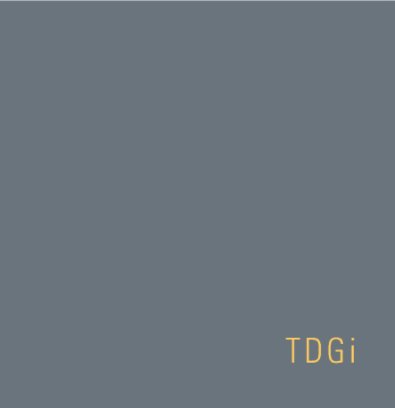 TDGI Portfolio book cover