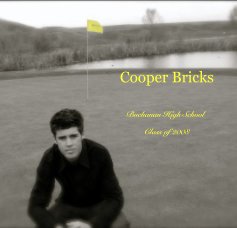 Cooper Bricks book cover