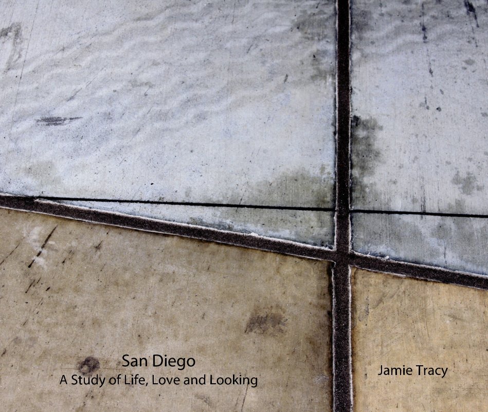View San Diego A Study Of Life, Love And Looking by Jamie Tracy