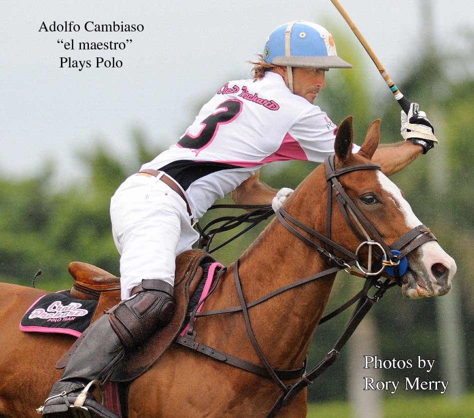 View Adolfo Cambiaso “el maestro”  Plays Polo by Rory Merry