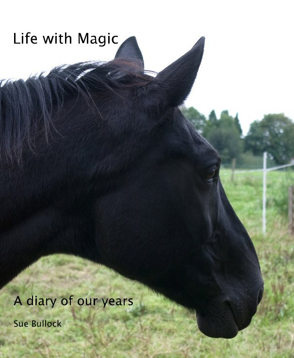View Life with Magic by Sue Bullock