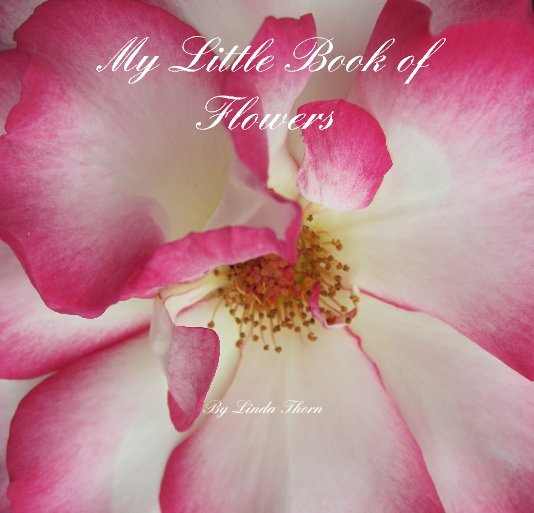 View My Little Book of Flowers by Linda Thorn