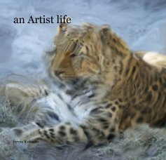 an Artist life book cover