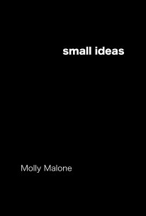 small ideas book cover