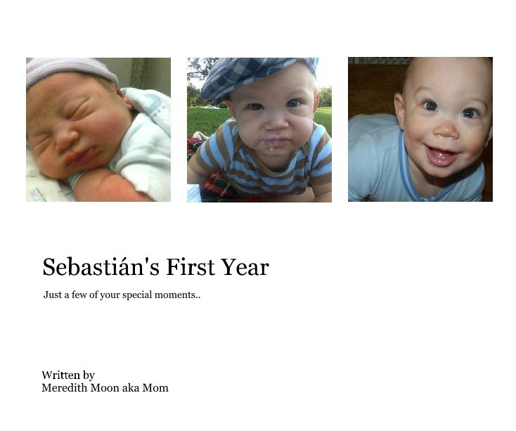 Ver Sebastián's First Year por Written by Meredith Moon aka Mom