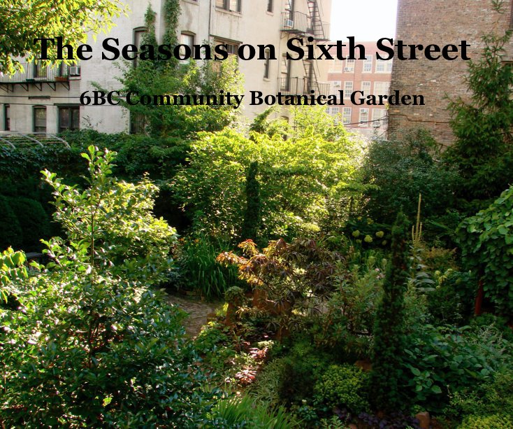 Ver The Seasons on Sixth Street por Erica and Adam Konopka