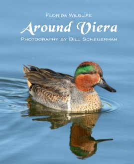 Around Viera book cover