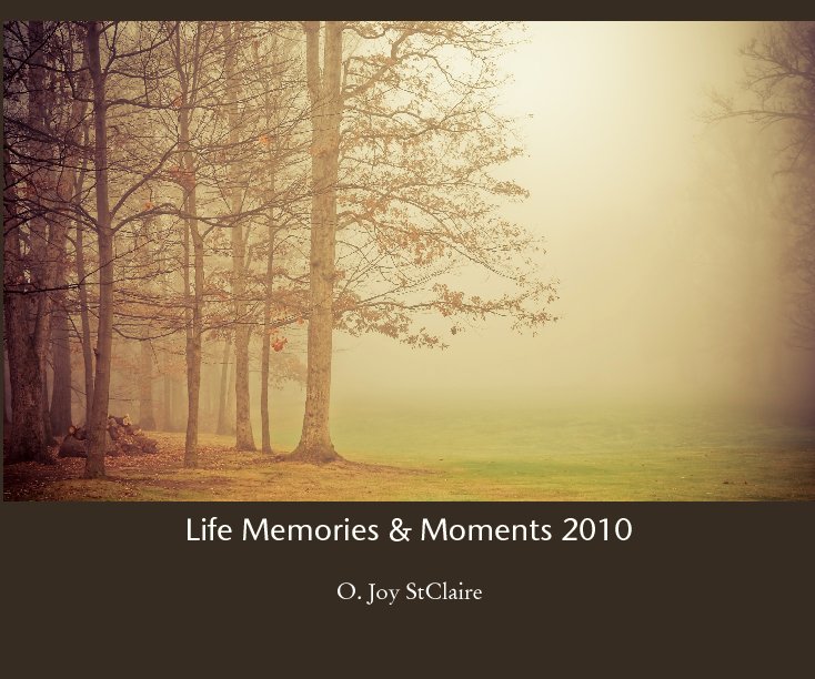 View Life Memories & Moments 2010 by O. Joy StClaire