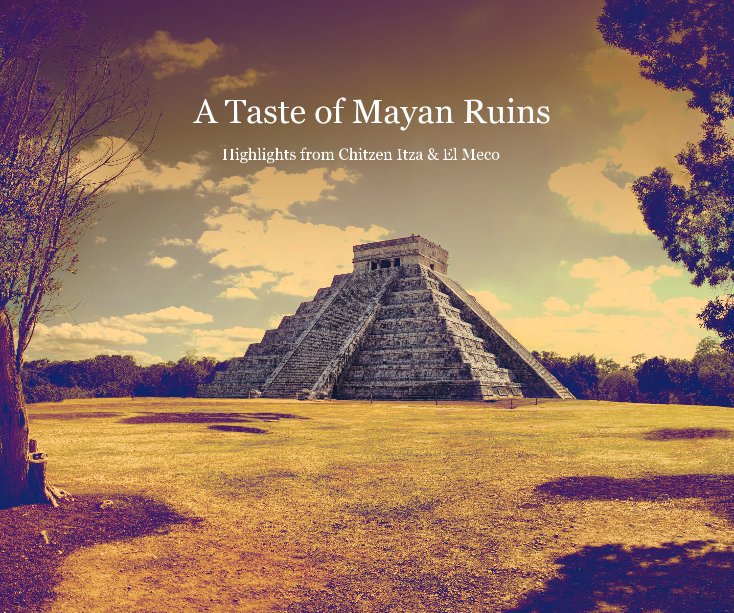View A Taste of Mayan Ruins by James Hildebrandt