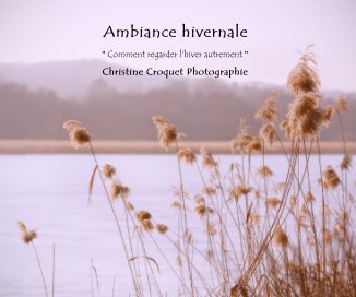 Ambiance hivernale book cover