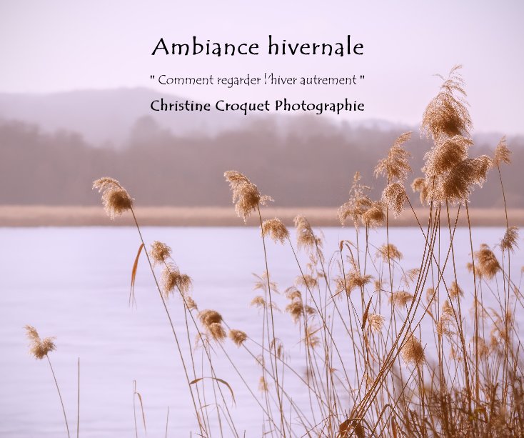 View Ambiance hivernale by Christine Croquet Photographie