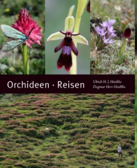 Orchideen · Reisen book cover