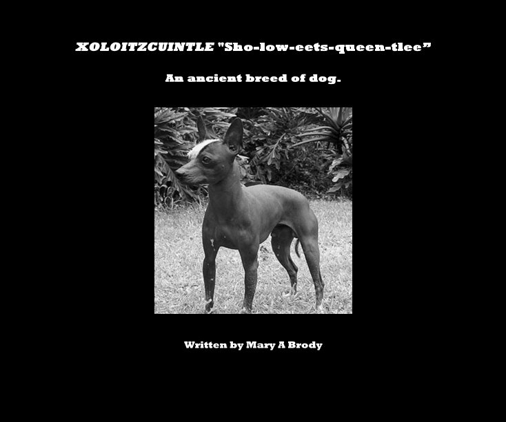 View XOLOITZCUINTLE "Sho-low-eets-queen-tlee” by Mary A Brody