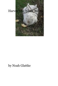 Harvey The White Bunny Interactive Book book cover