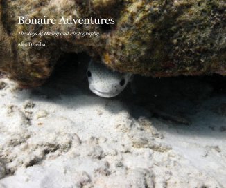 Bonaire Adventures book cover