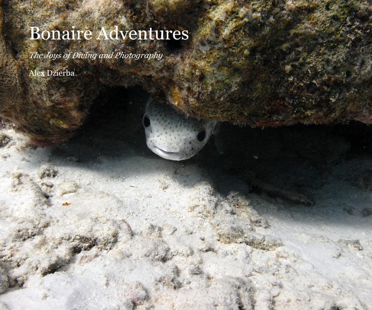 View Bonaire Adventures by Alex Dzierba