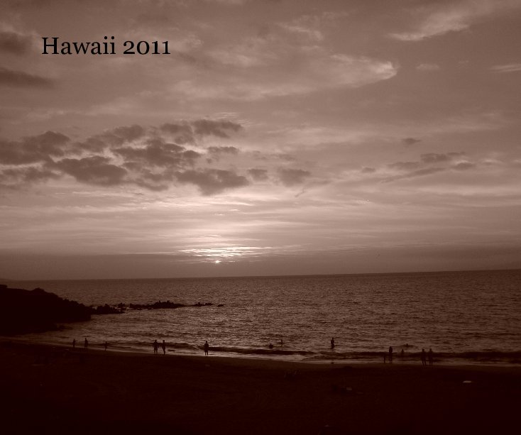 View Hawaii 2011 by tengland