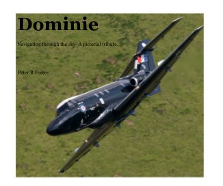 Dominie book cover
