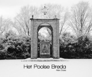 Het Poolse Breda book cover