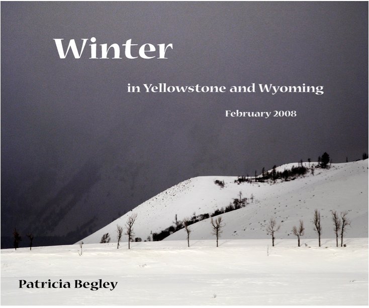 Winter nach Patricia Begley anzeigen